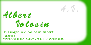 albert volosin business card